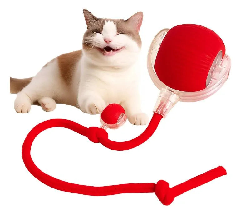 Pelota interactiva para mascotas